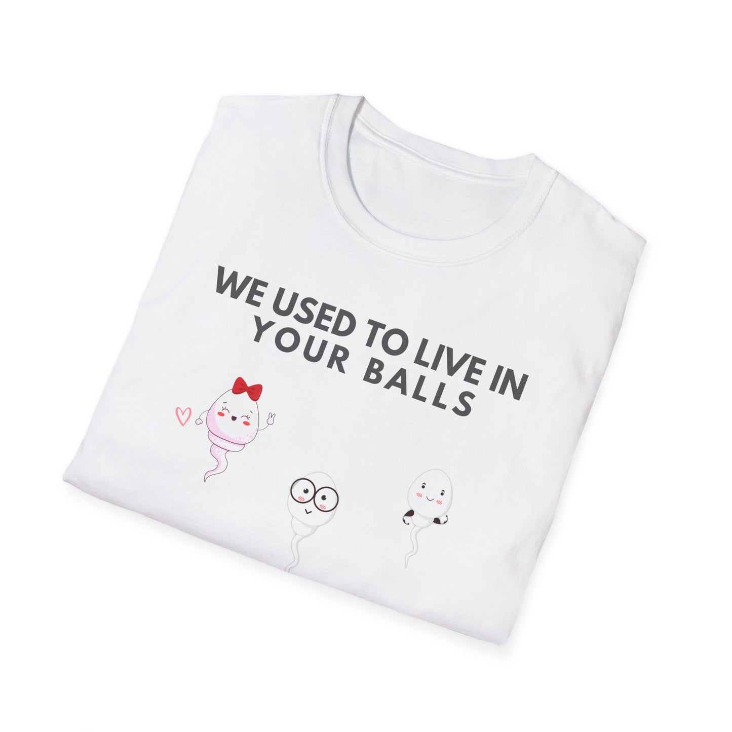 “HAPPY FATHER'S DAY” Softstyle T-Shirt